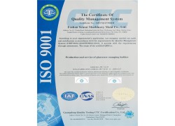 ISO 9001(英文版）